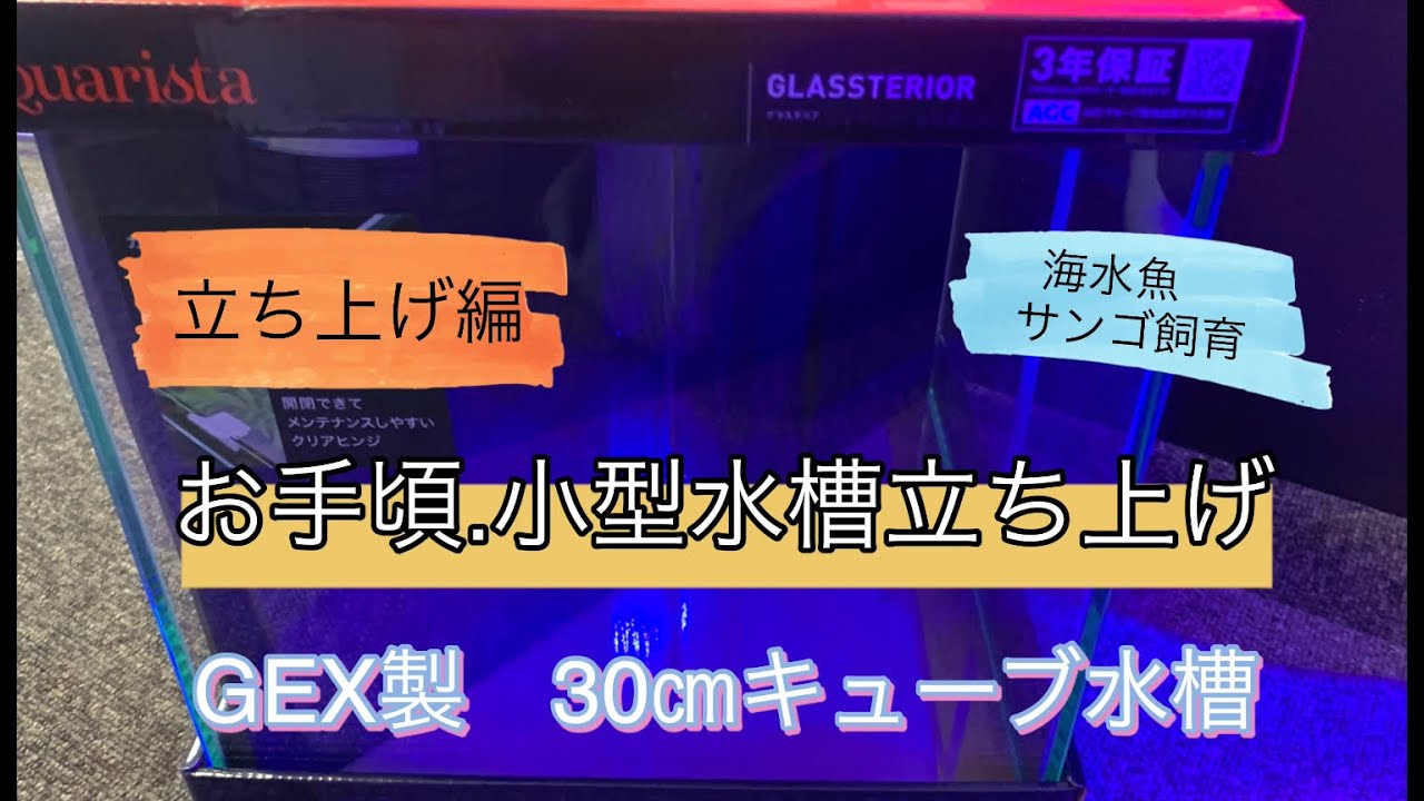 小型水槽立ち上げ①　　立ち上げ編　マリンアクアリウム　【海水魚.サンゴ水槽】