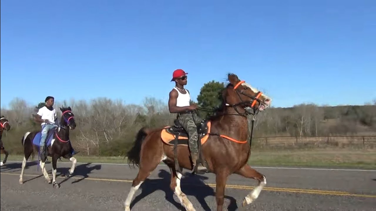 2022 Applying Pressure Stables Trail Ride in Douglassville USA (Singlefoot)