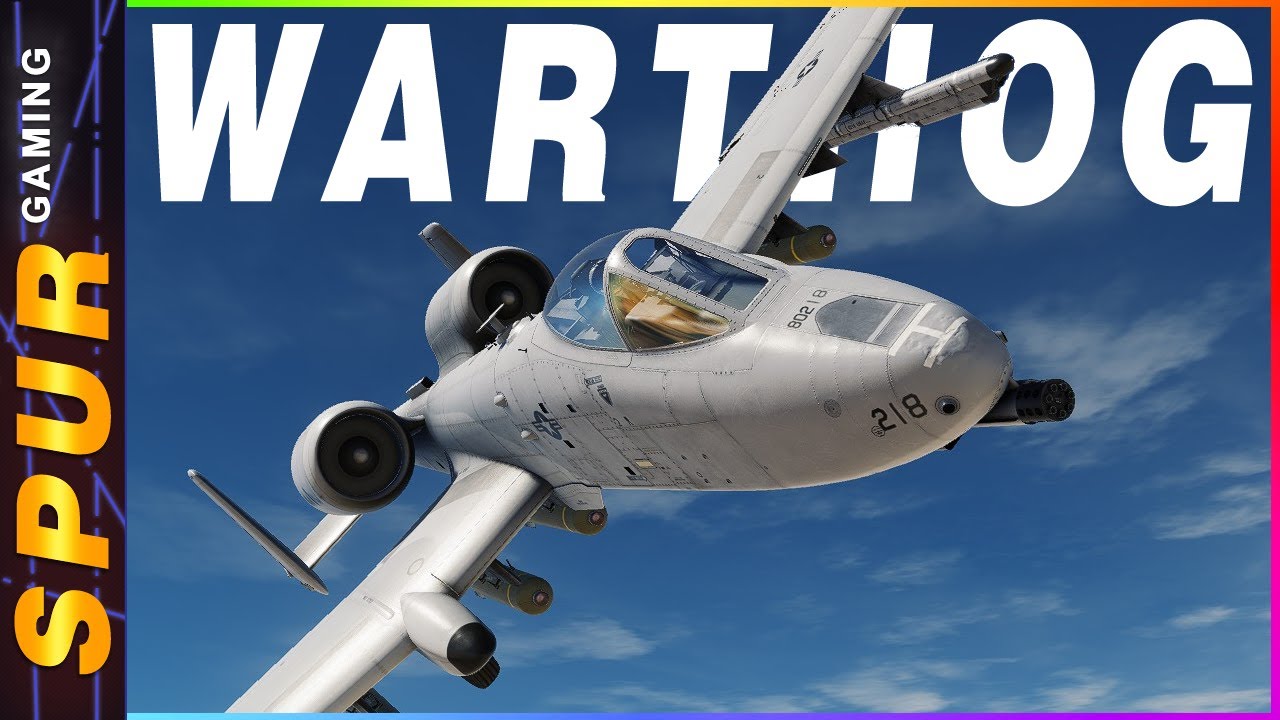 Hoggit Training Server Adventures: Mastering the A-10C in DCS World