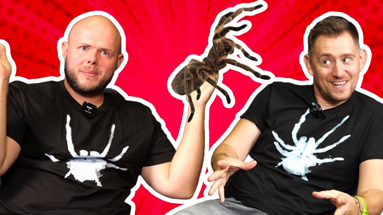 Arachnofob vs. pająk! - Odcinek ZERO