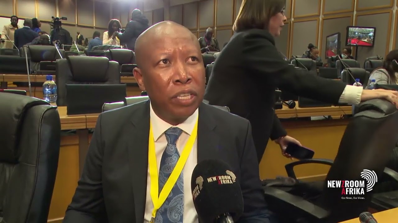 Malema speaks on the election of PAP's next president