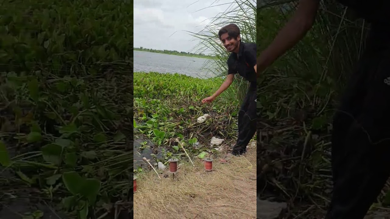 9 no fishing point head baloki phool nagar