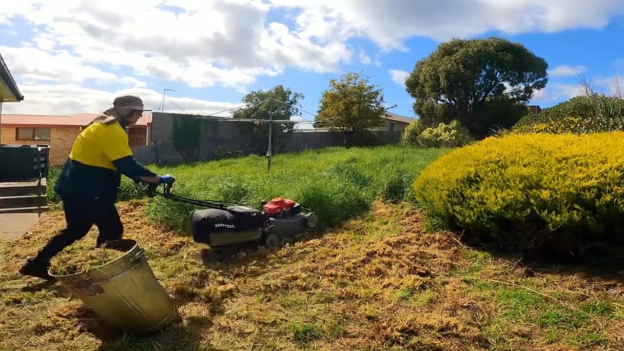 Tackling the THICKEST overgrown grass I've seen in a long time!