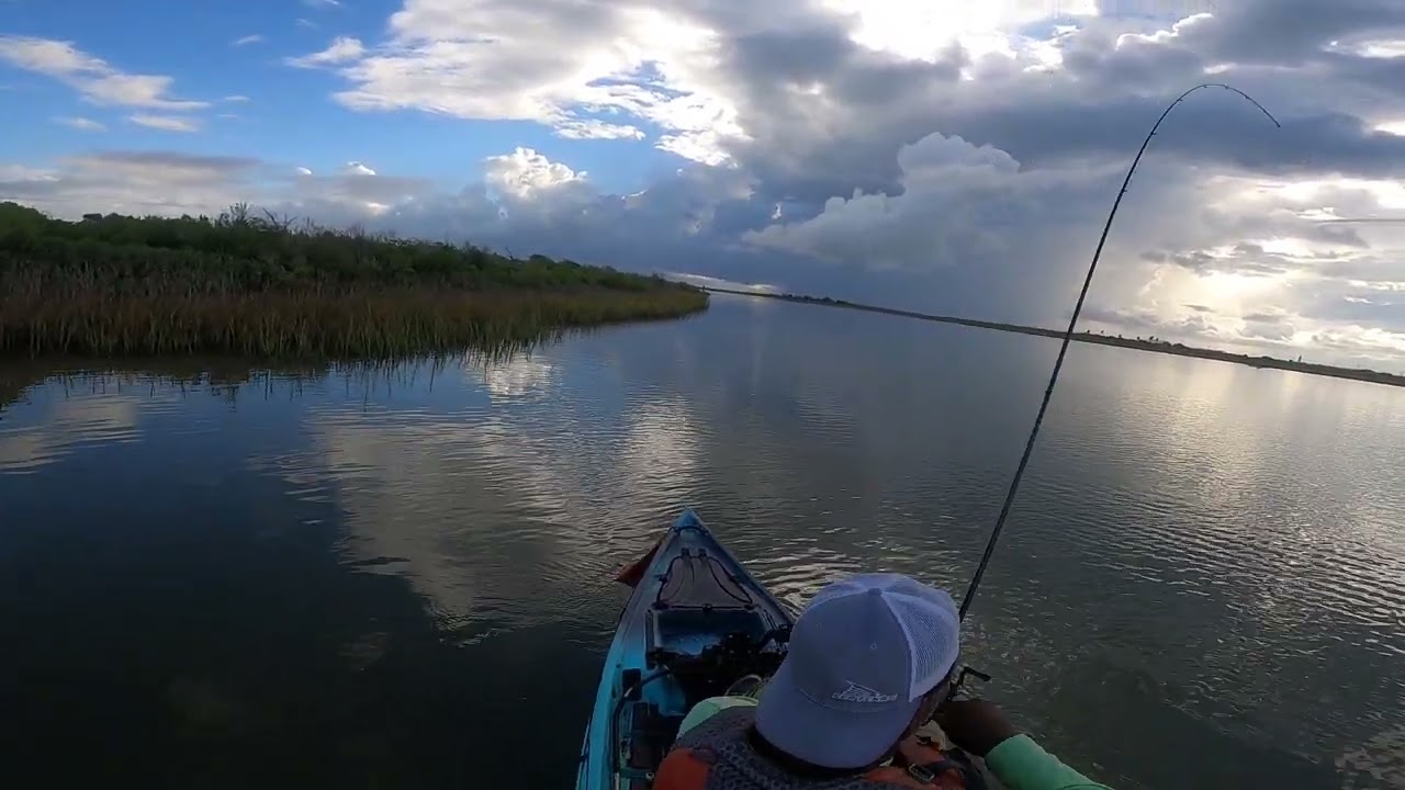 redfish blowup on a skitter walker topwater Freeport,Tx