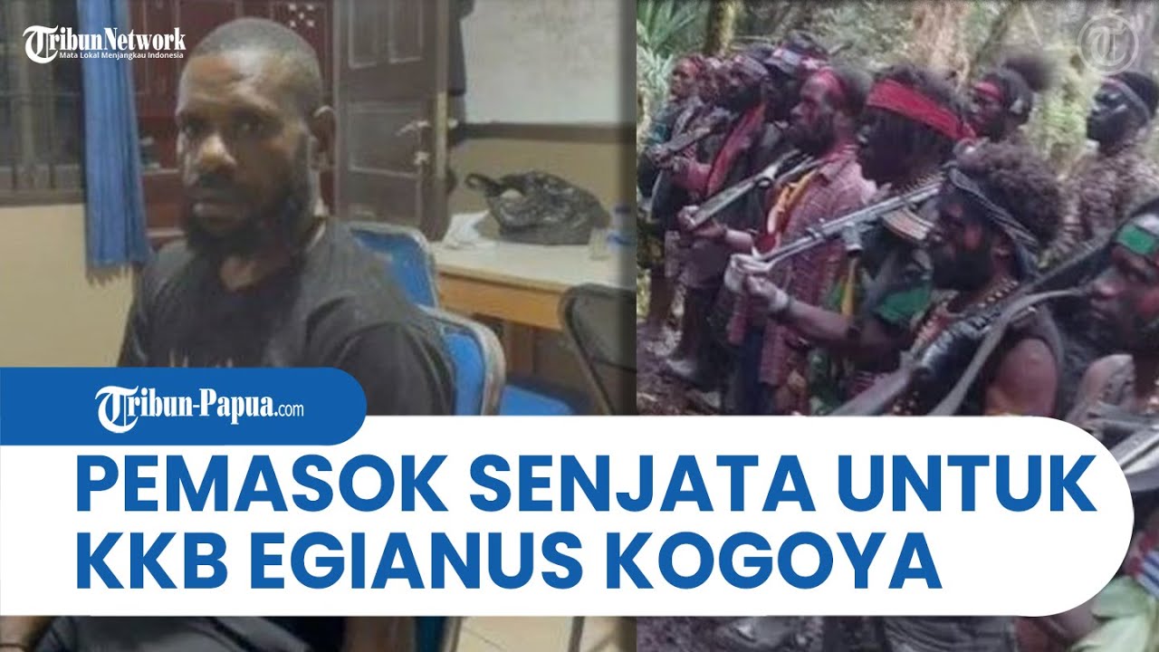 Anak Buah EGIANUS KOGOYA Diciduk Saat Ikut Menghitung SUARA PEMILU, KKB Papua Menyusup?