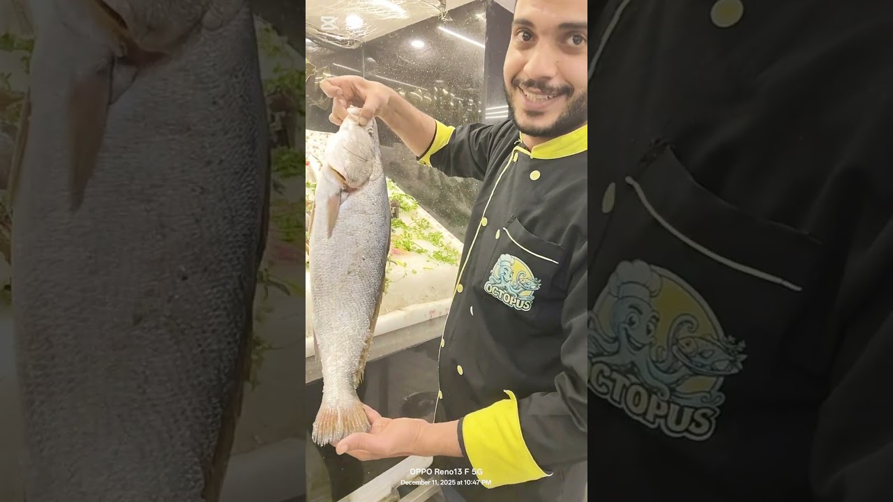 الاخطبوط. تجربه جديده 🦞🍤 مطعم sea food في بحري. الاسكندريه اتمني تعجبكم 😋