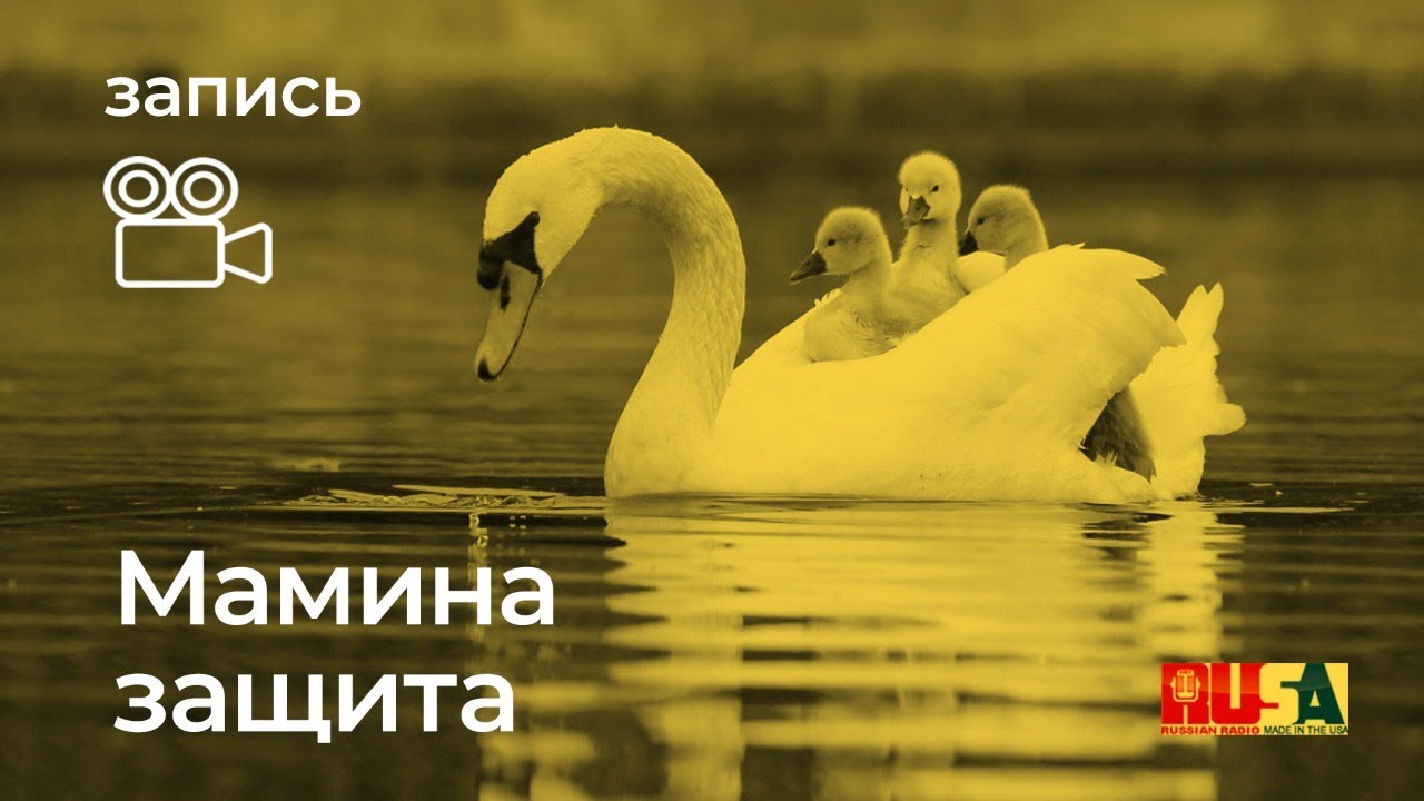 Мамина защита