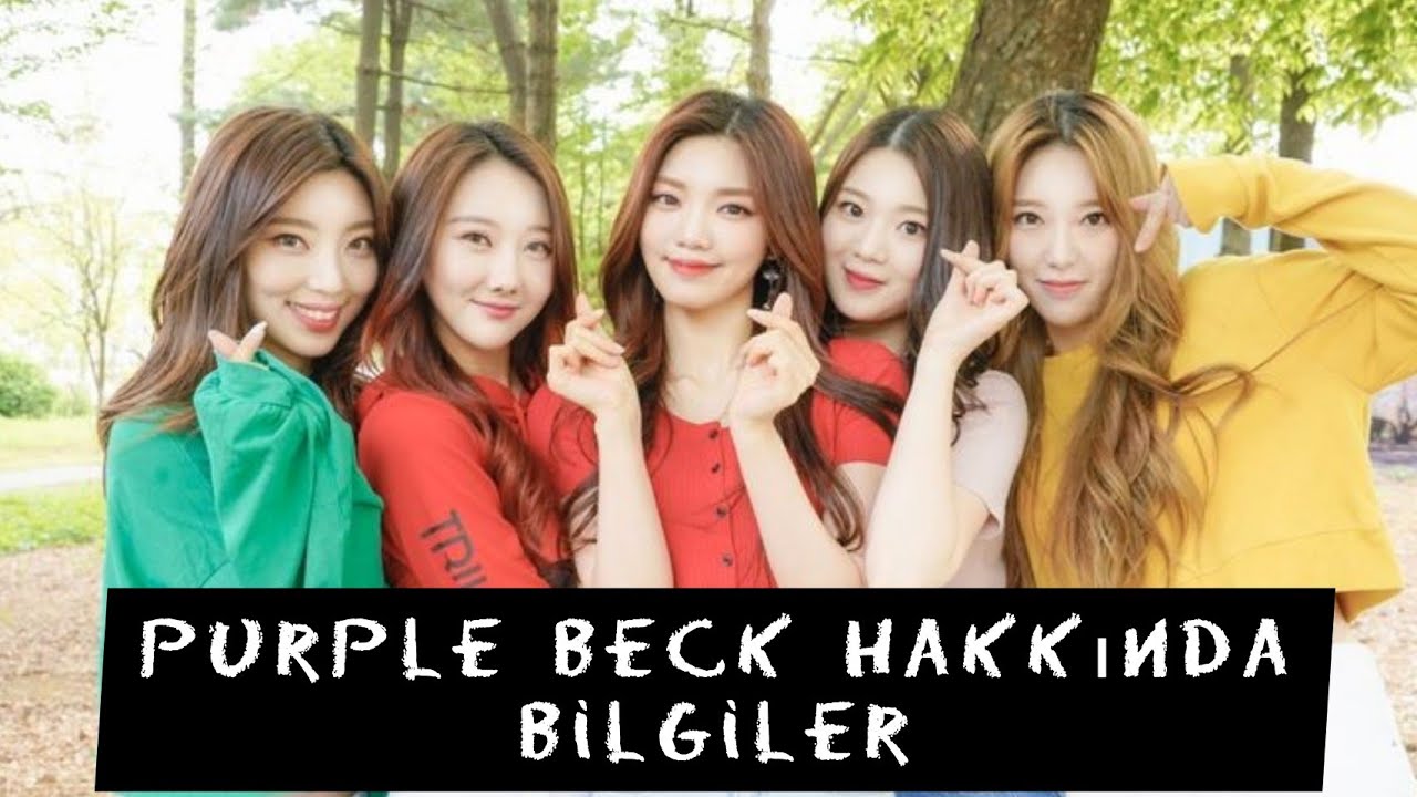 purple beck gurubu hakkında bilgiler // üyeler hakkında bilgiler