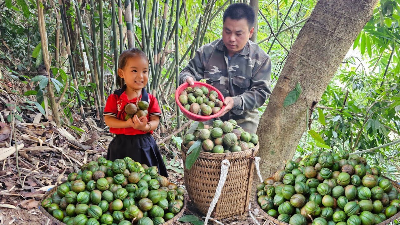 Harvesting forest fruits goes to the market sell - Cooking