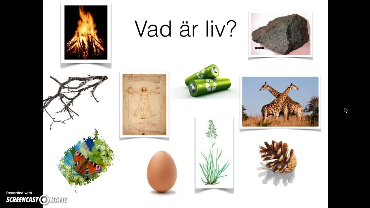 Vad är liv
