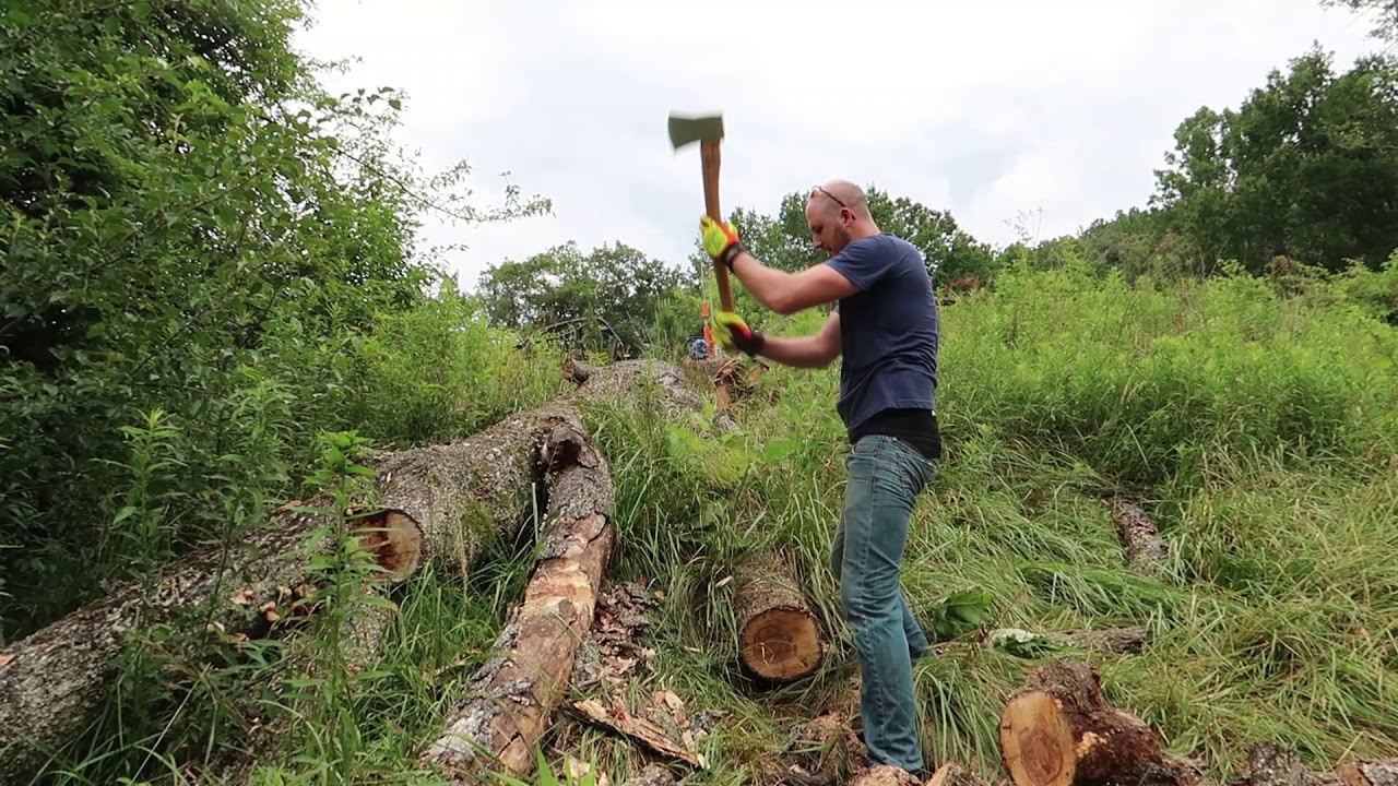 Chapping Big Log with an Axe