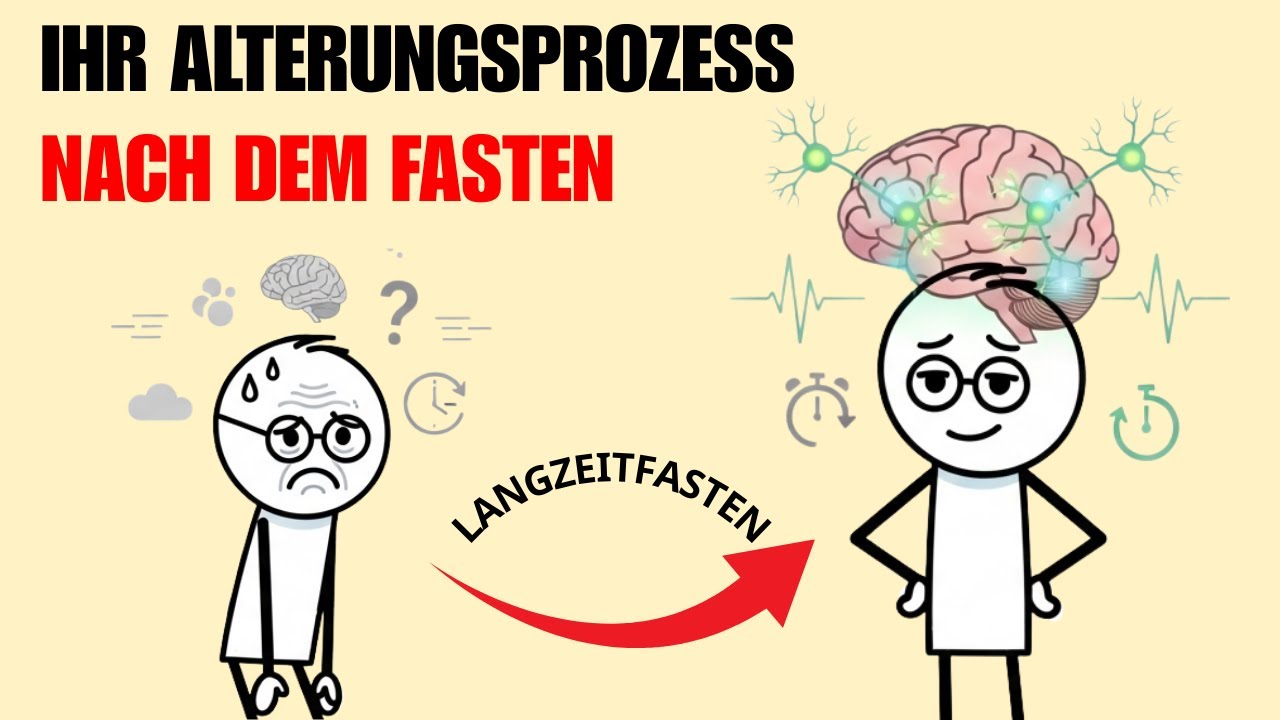 Verlangsamt Intervallfasten wirklich das Altern? – Wissenschaftlich erklärt