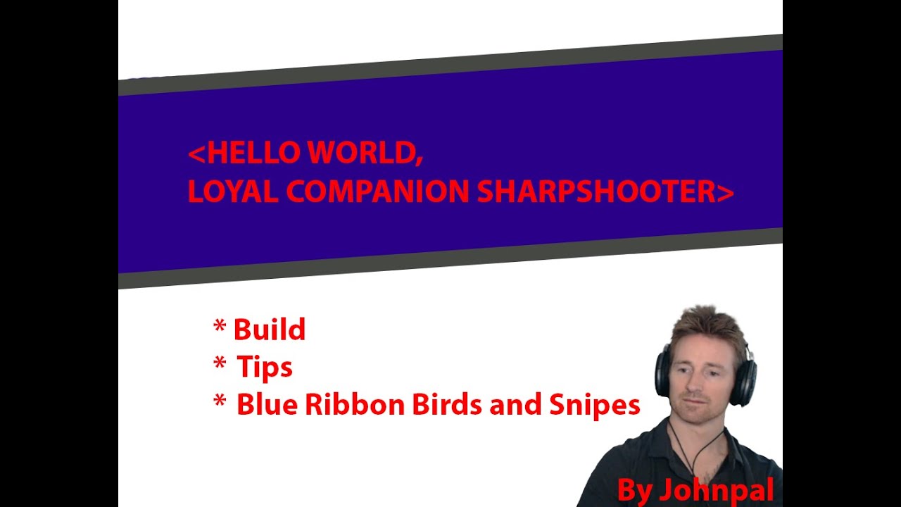 (OLD) Hello World Sharpshooter, A Loyal Companion Guide