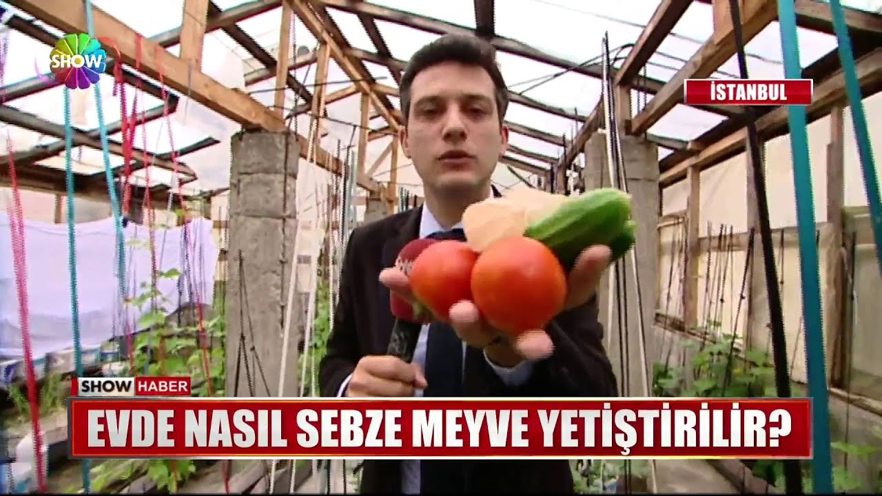 Evde nasıl sebze meyve yetiştirilir?