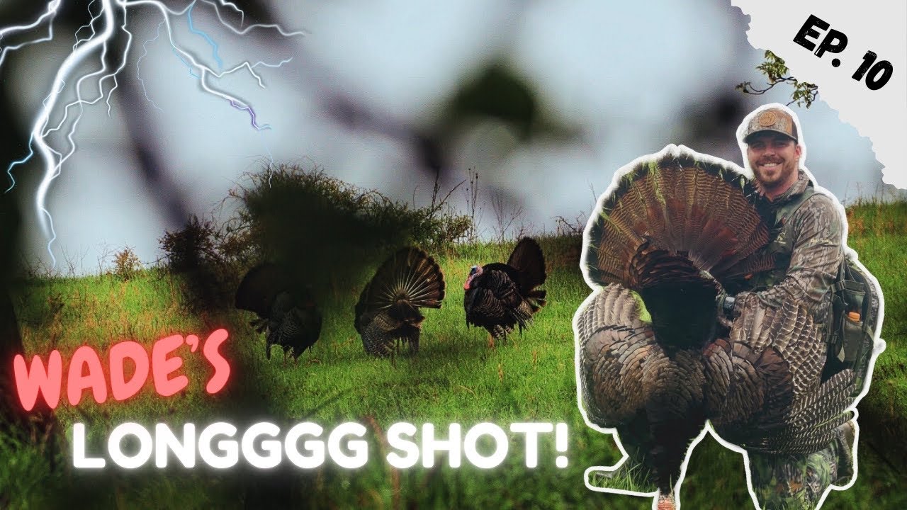 Wade puts a LONGGG SHOT on his OHIO BIRD!! (3 STRUTTERS IN A FIELD)