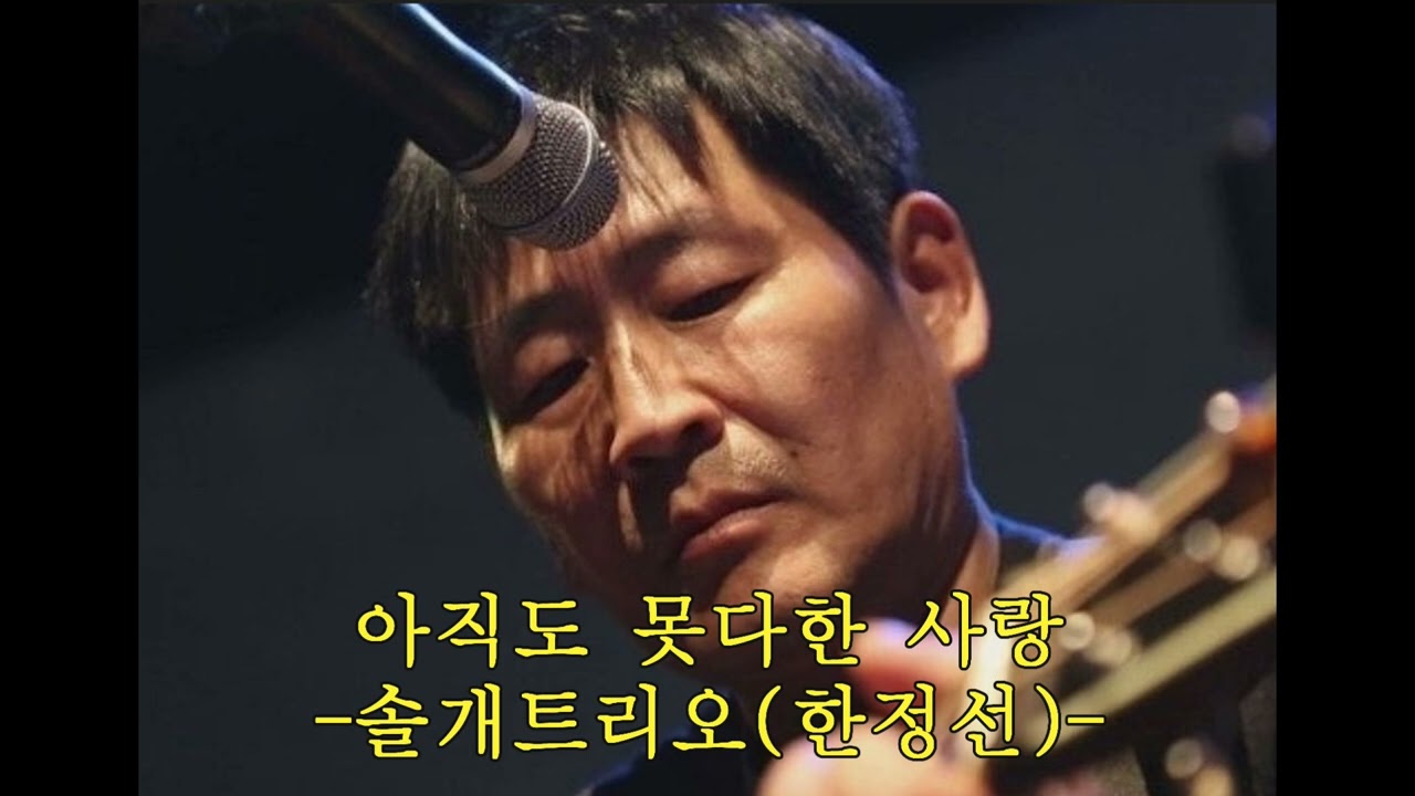 아직도 못다한 사랑 - 솔개트리오(한정선)(커버 현우아범)