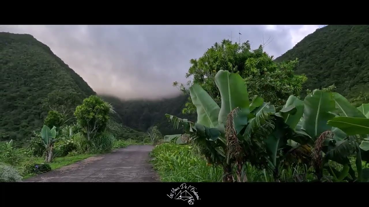 Ile de La Réunion - Plaine des Grègues