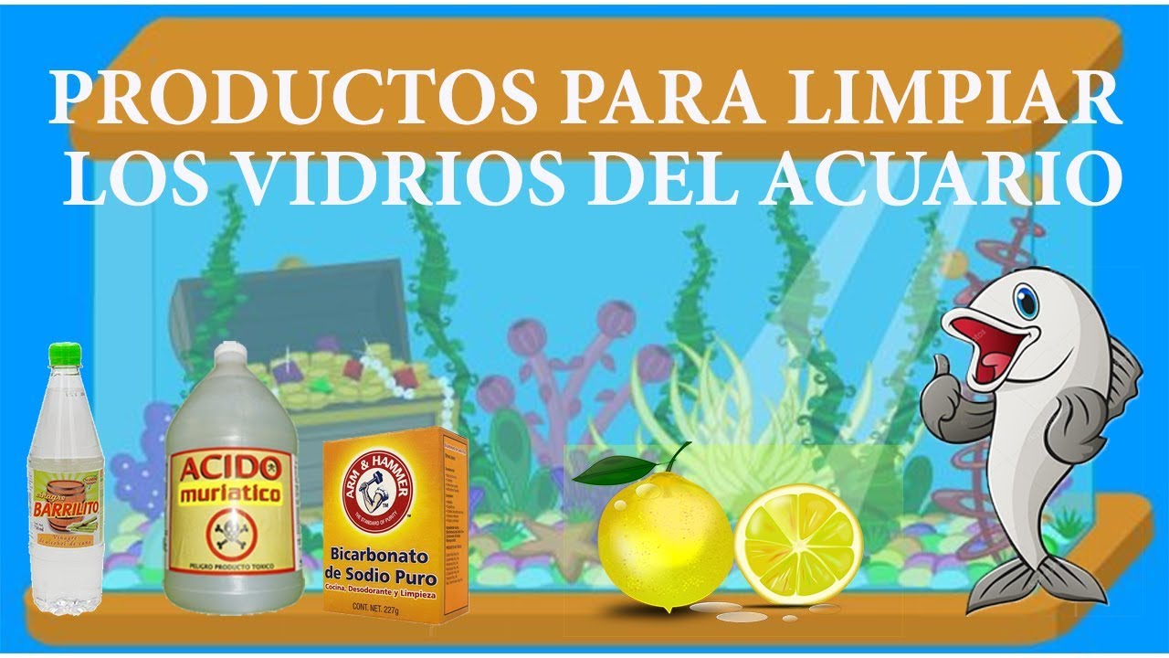 Productos para quitar el sarro de los vídrios