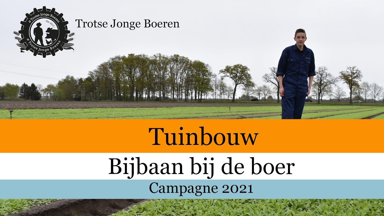 Tuinbouw - Bijbaan Bij De Boer