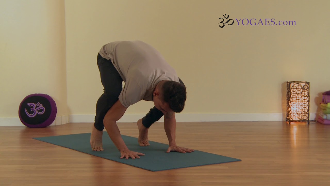 El cuervo - Kakasana