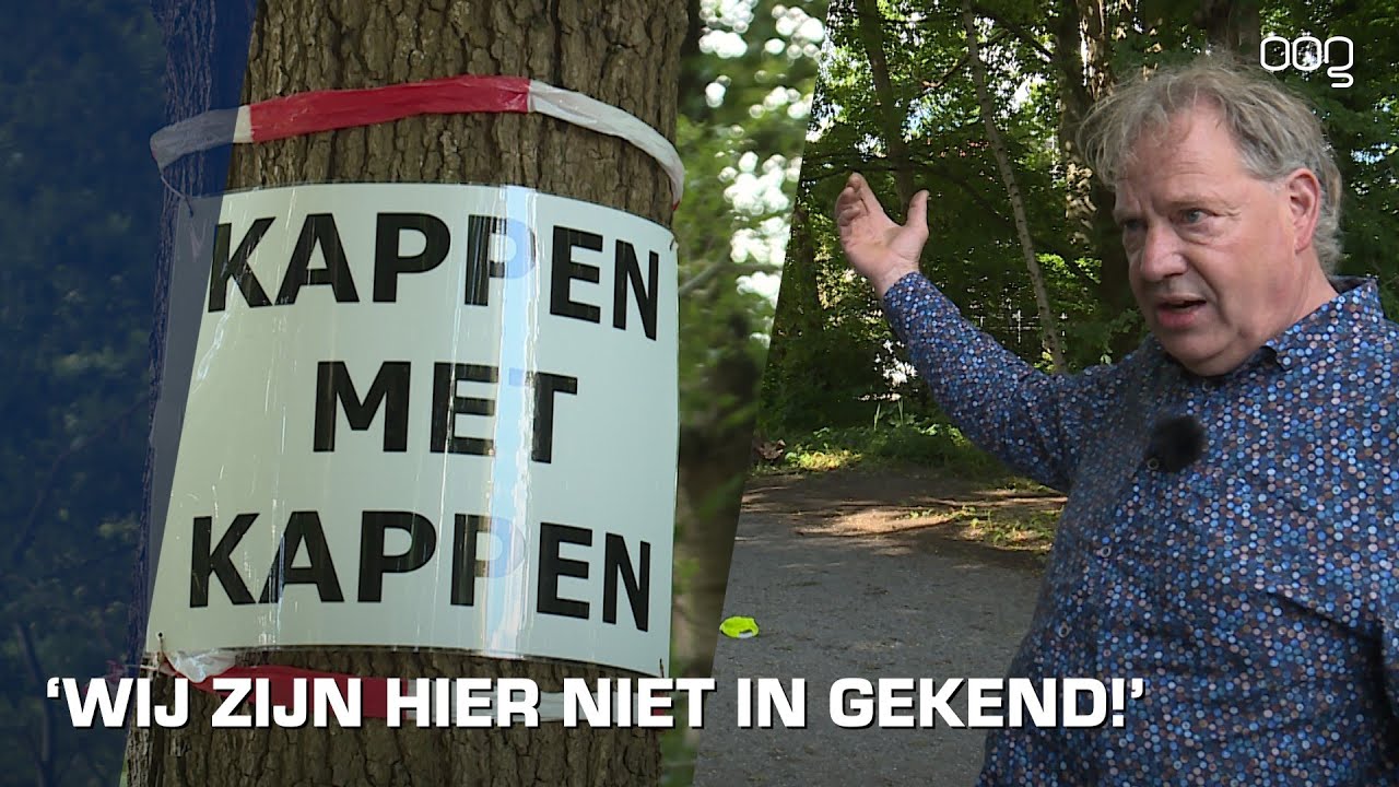 Zorgen over kap zeldzame wintereik in Sterrebos