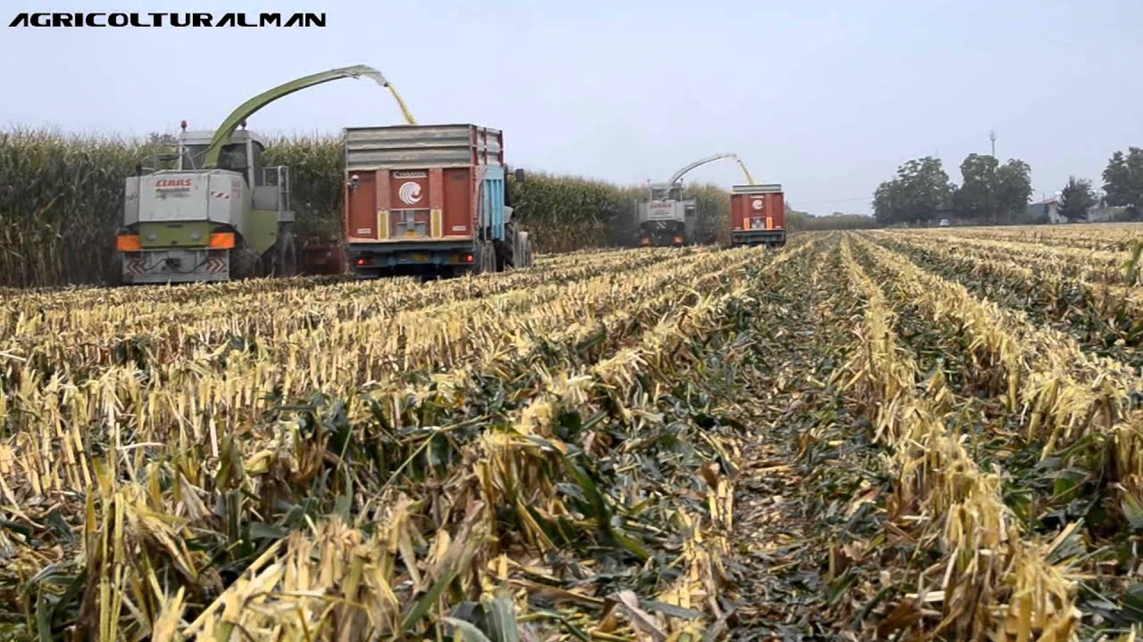 PASTONE 2014, CLAAS JAGUAR840, CLAAS JAGUAR860.
