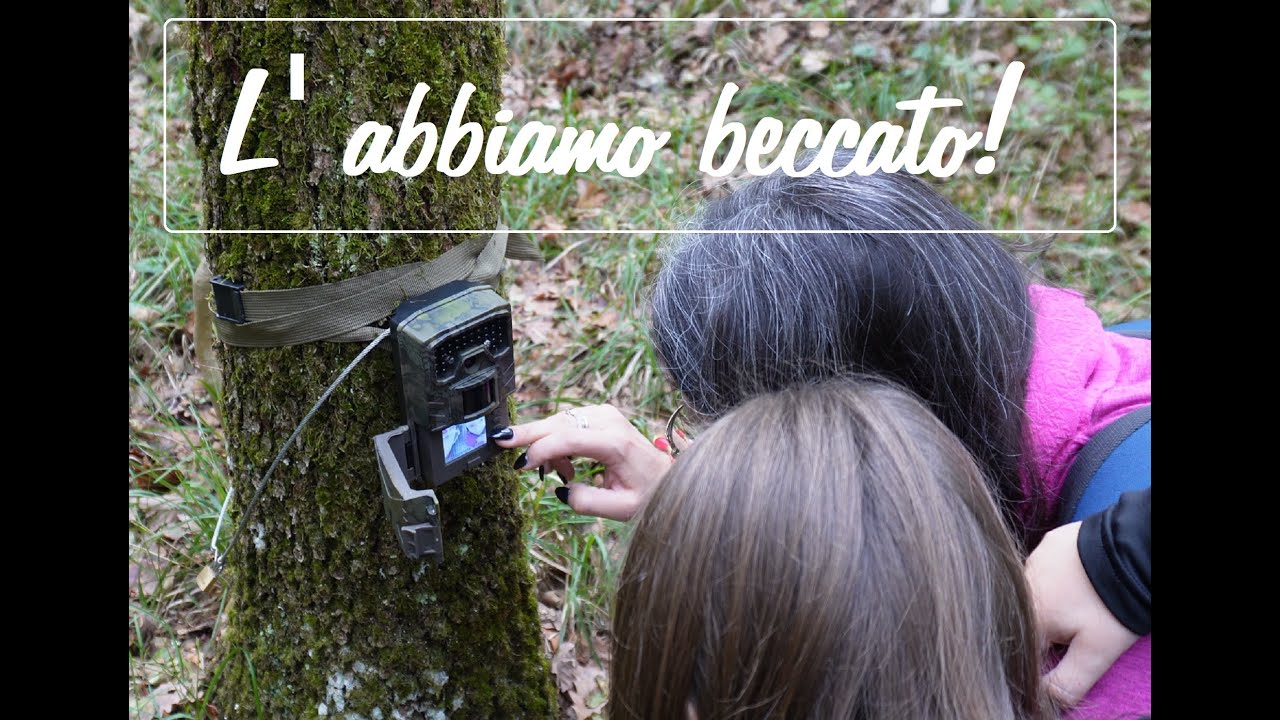 L' abbiamo beccato!