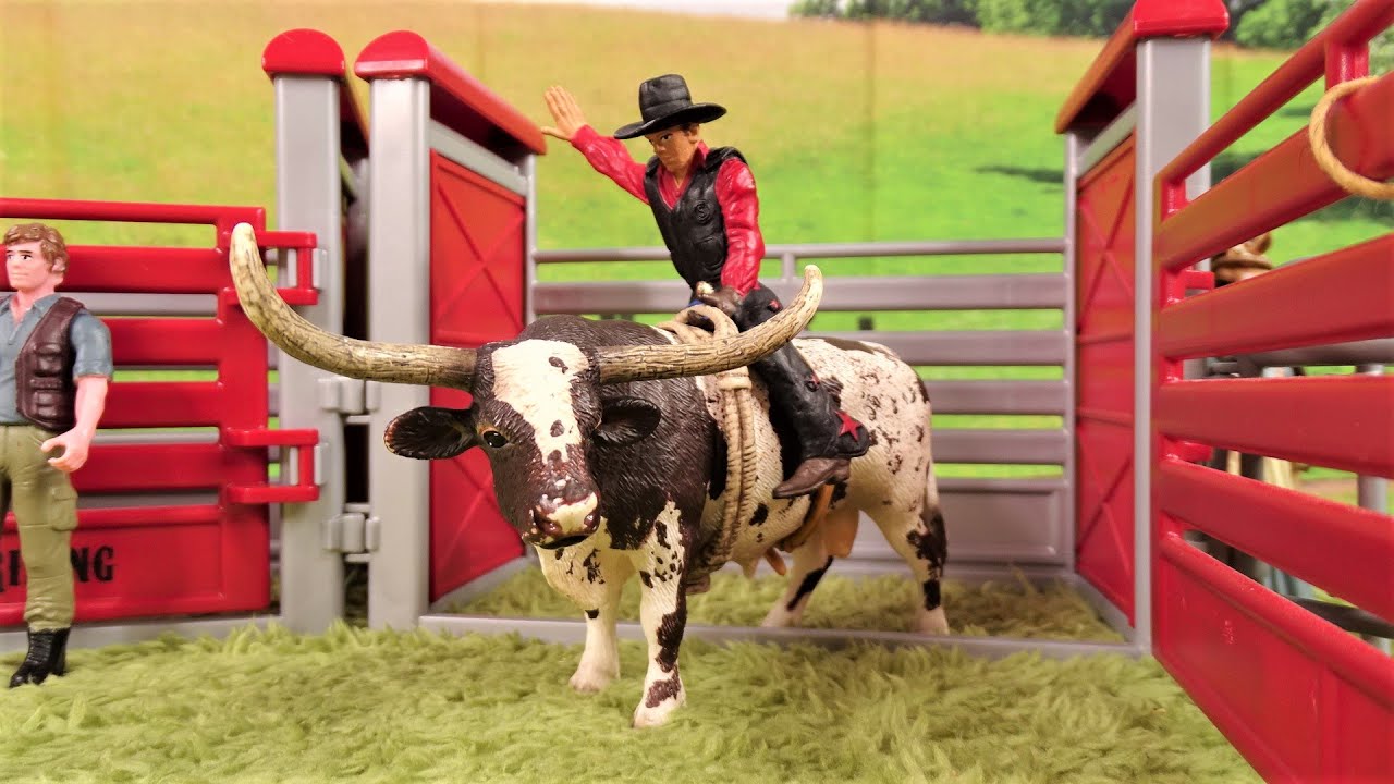BULL RIDING/ Jaripeo/ RODEO