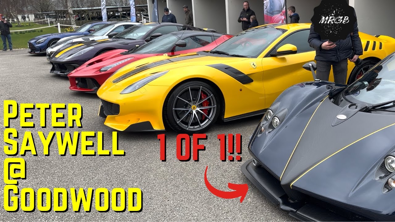 1 OF 1 Pagani Zonda PS, Plus £M's Of Other Supercars at Peter Saywell Track Day @GoodwoodRR