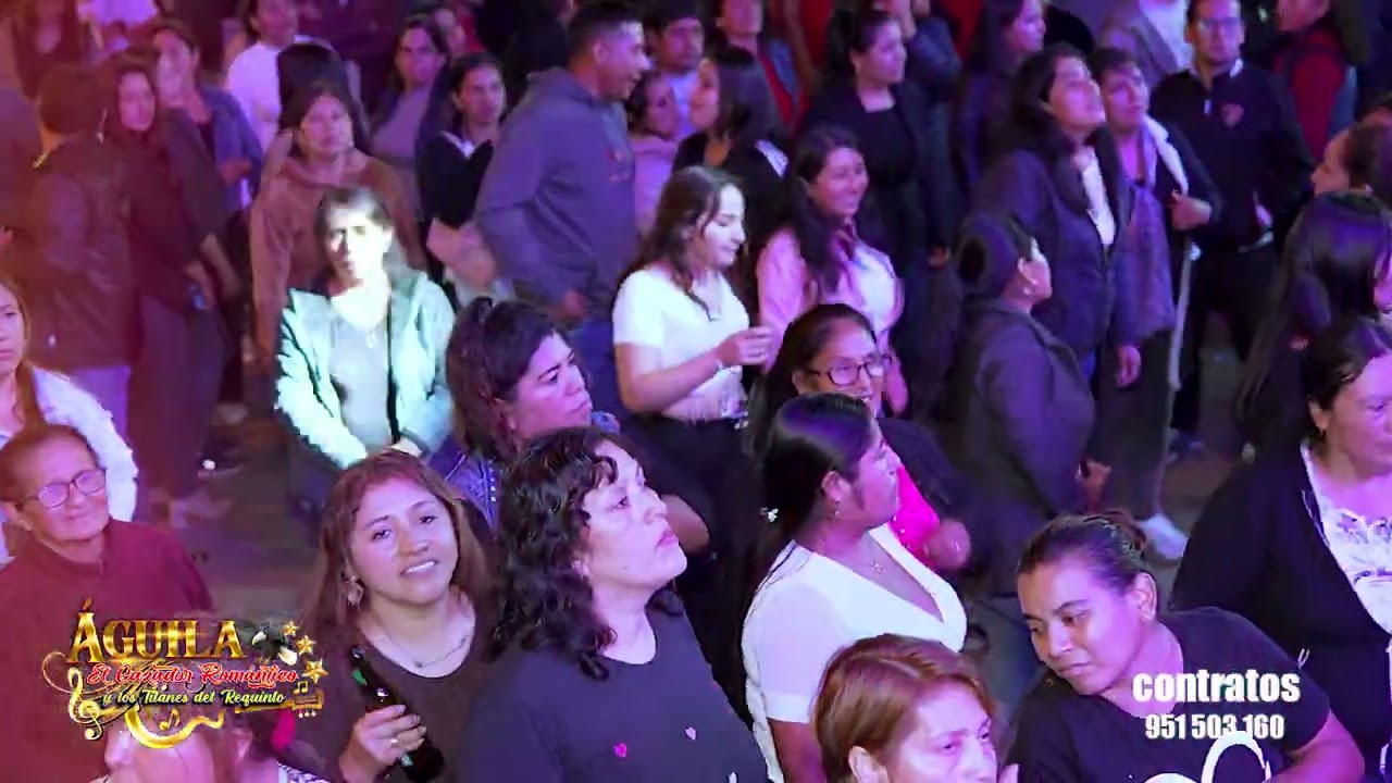 Águila el Cazador Romántico/los TITANES del Requinto/La cerveza/huayno con Requinto/en vivo 2026.