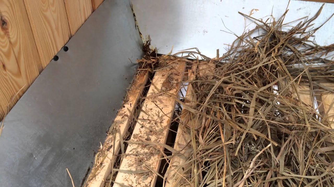 Клетка для французского барана