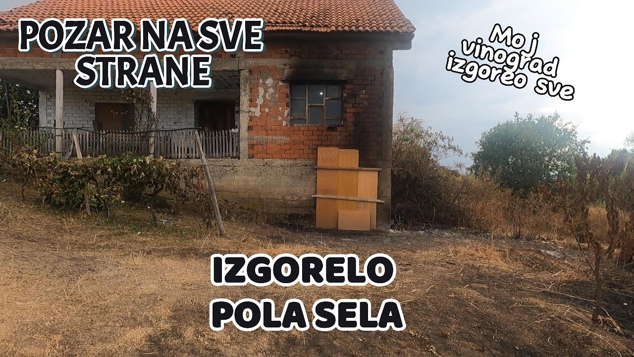 🔥 TRAGEDIJA U SELU! Komsija palio stršljene pa izazvao OGROMAN požar! 😢 150 hektara izgorelo!