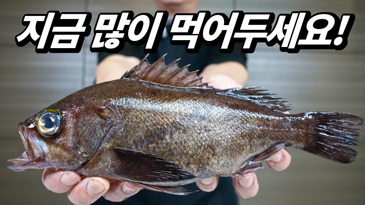 95%가 짝퉁이라니 충격이네.. 아는 사람만 제대로 먹는 국내 1티어 생선
