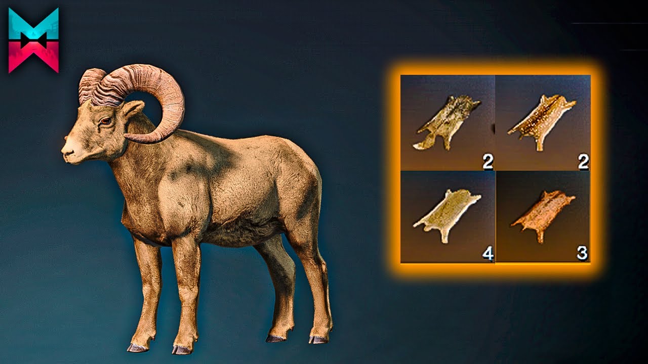 POR QUÉ TAMEAR ANIMALES EN ONCE HUMAN?