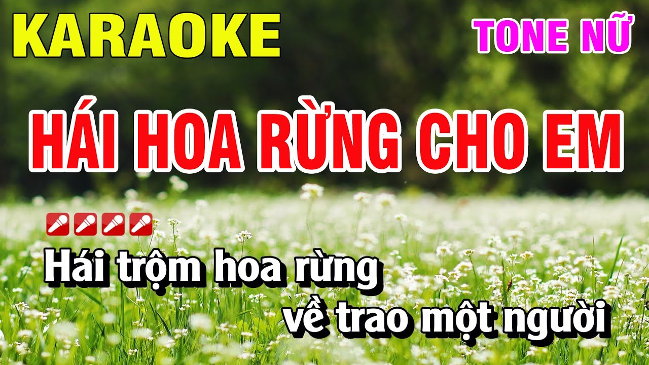Karaoke Hái Hoa Rừng Cho Em Tone Nữ Nhạc Sống 2023 | Hoàng Luân