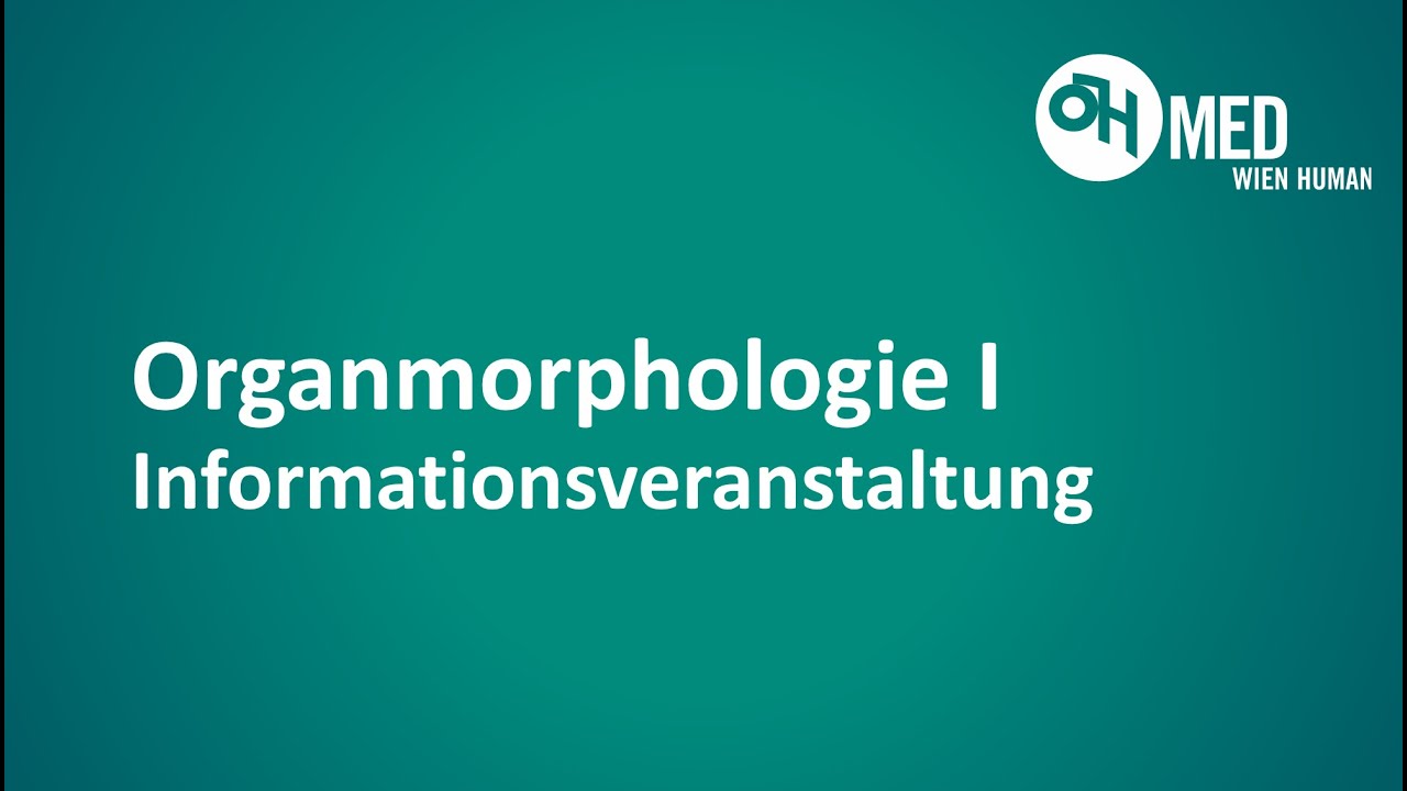 How to Rock OM1 - 2020