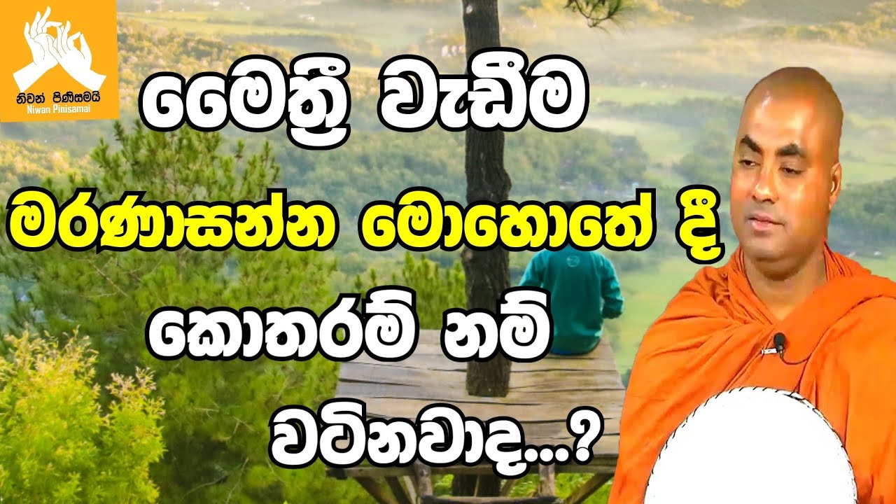 මෛත්‍රී වැඩීම මරණාසන්න මොහොතේ දී කොතරම් නම් වටිනවාද ?|koralayagama saranathissa thero bana 2022
