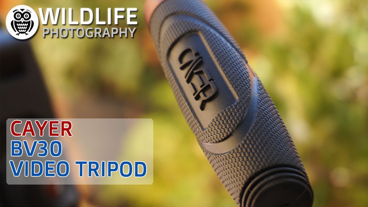CAYER BV30 Video tripod review