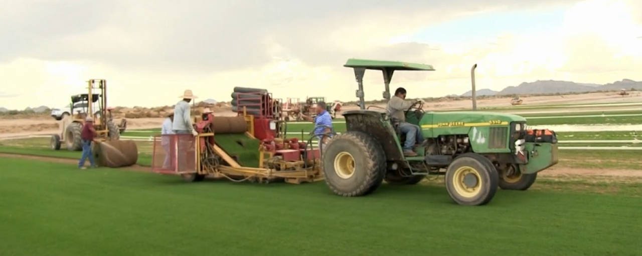 The Re-Sodding Of Sun Devil Stadium