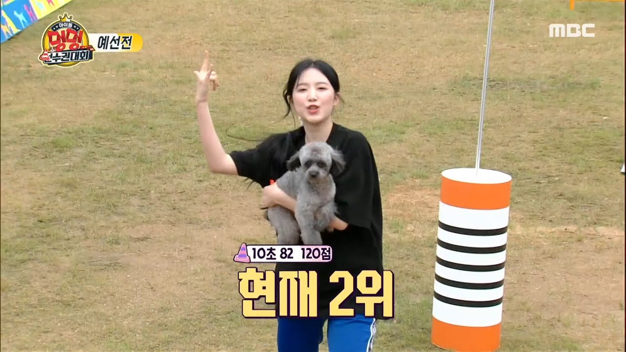 [2020 아이돌 멍멍 선수권 대회] [5조 예선전] 여자아이들 슈화 X 하쿠의 찰떡 호흡으로 완주♨ MBC 201002 방송