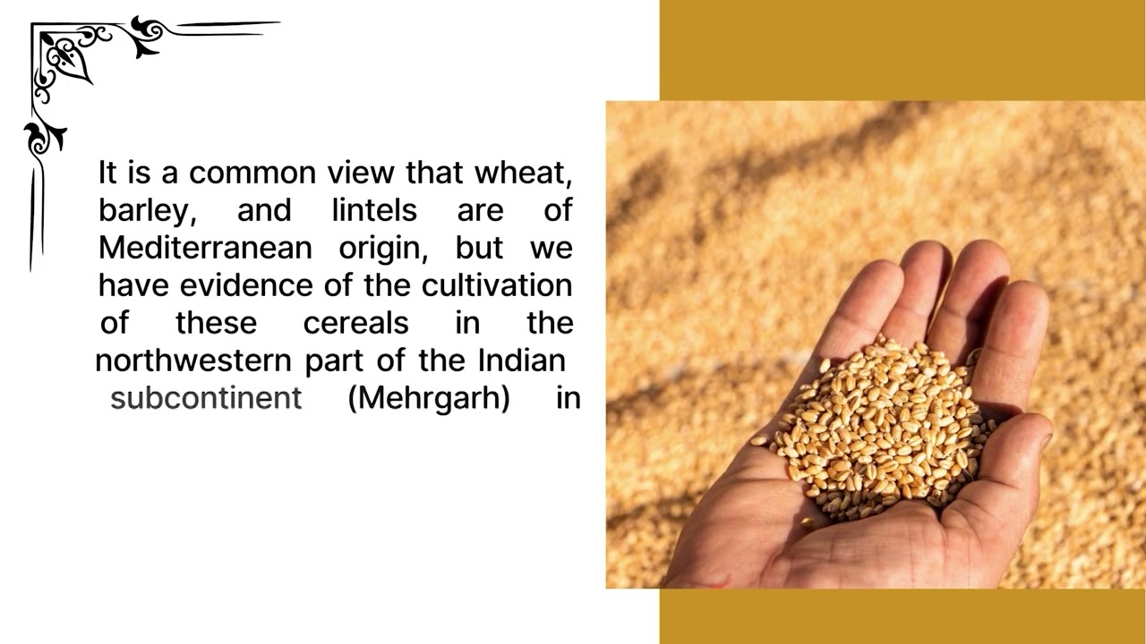 Agriculture in Ancient India