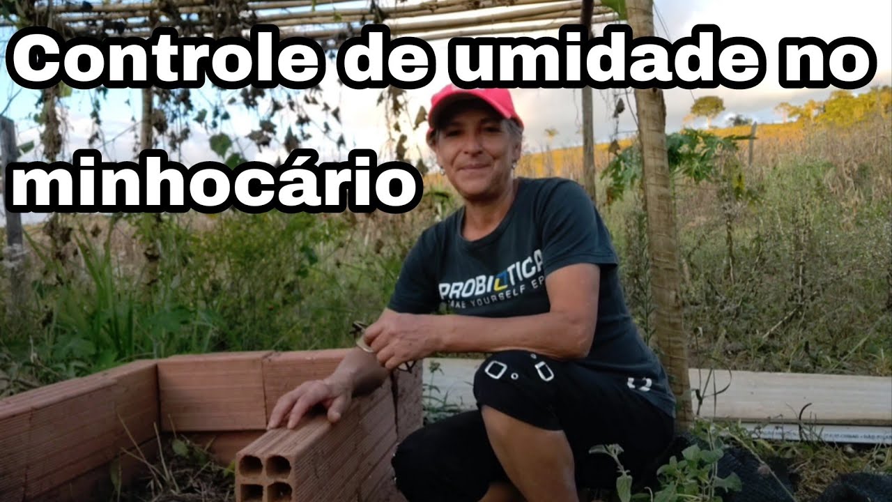 A importância da umidade no minhocário