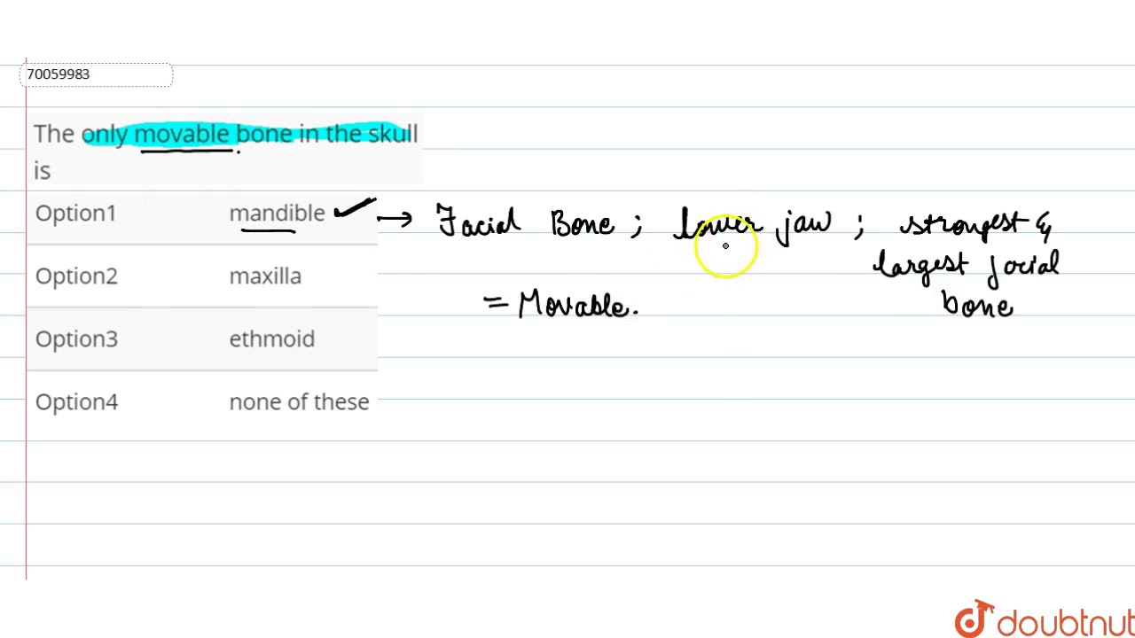 The only movable bone in the skull is