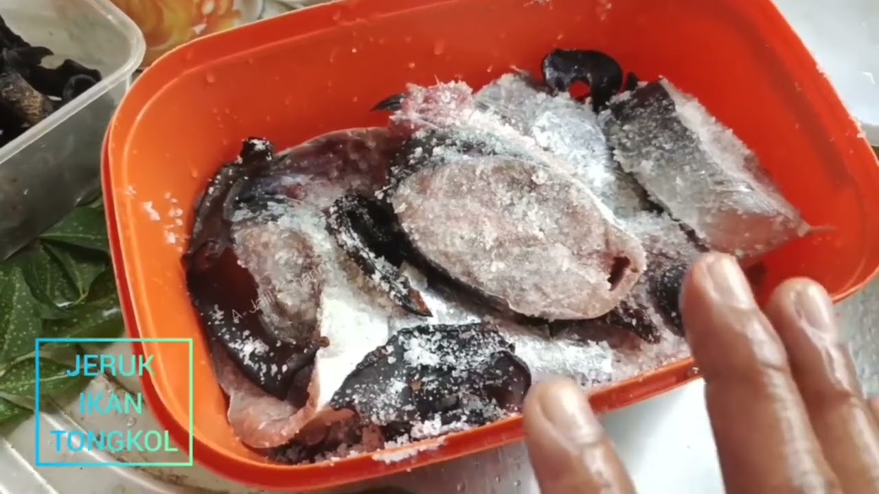 BUAT JERUK IKAN TONGKOL CARA MUDAH , TAPI SEDAP