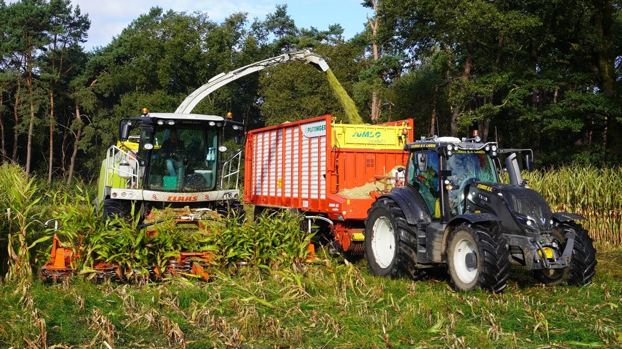 Mais 2024 | Claas Jaguar + 3x Valtra | Sturris Laren | Maishakselen | Mais silage | Maishäckseln