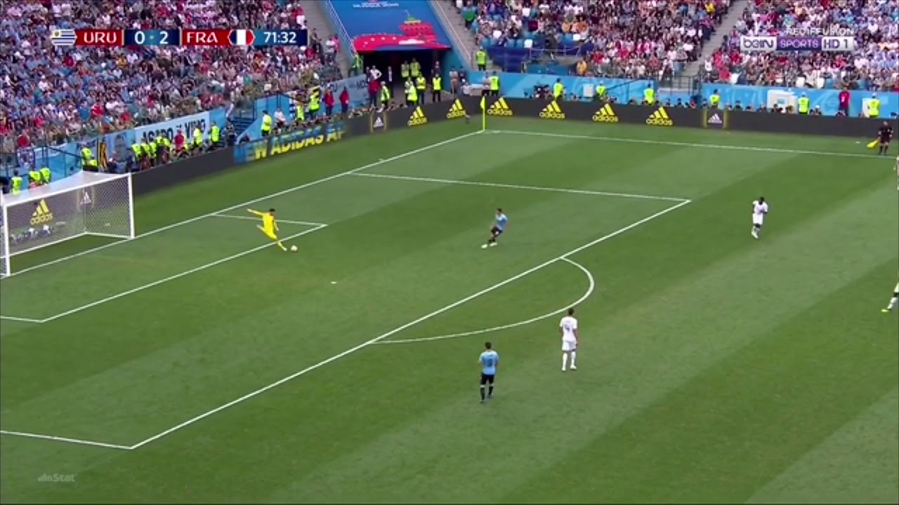 Hugo Lloris 2018 World Cup Distribution
