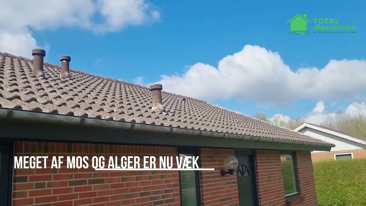 Algebehandlings virkning på tag med mos