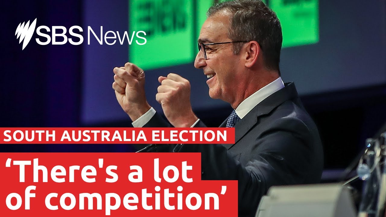 Premier Steven Marshall facing long road to re-election | SBS News