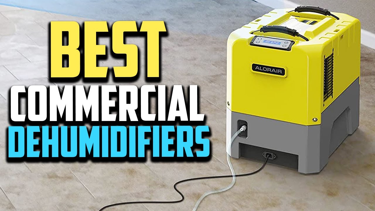 Top 10 Best Commercial Dehumidifiers in 2025 Reviews