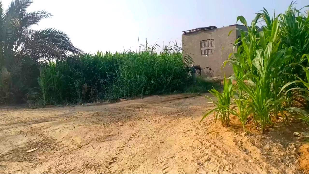 مزرعة 25 فدان مياه معدنية تزرع كل حاجة بسعر مغري جدا في وادي النطرون طريق القاهرة اسكندرية الصحراوي
